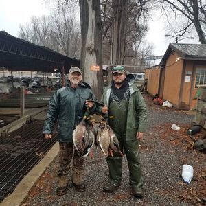 Meet your Posher, Jake